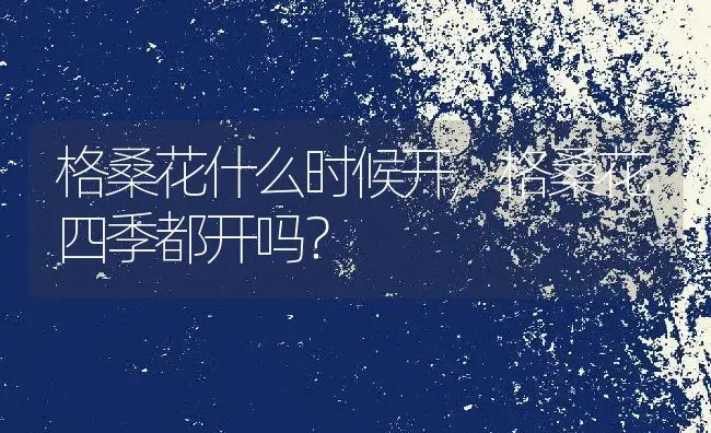 格桑花什么时候开,格桑花四季都开吗？ | 养殖常见问题