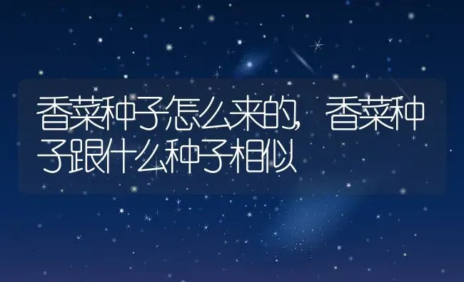 贝瑞多肉的养殖方法和注意事项,贝瑞多肉的养殖方法和注意事项 | 养殖常见问题