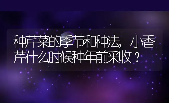 种芹菜的季节和种法,小香芹什么时候种年前采收？ | 养殖常见问题
