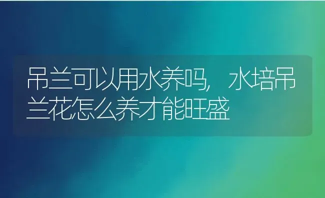 吊兰可以用水养吗,水培吊兰花怎么养才能旺盛 | 养殖常见问题