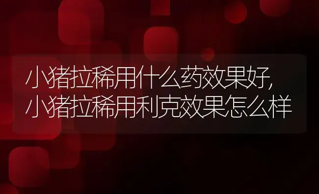 小猪拉稀用什么药效果好,小猪拉稀用利克效果怎么样 | 养殖常见问题