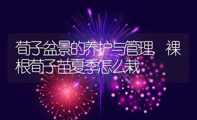 荀子盆景的养护与管理,裸根荀子苗夏季怎么栽 | 养殖常见问题
