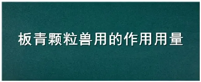 板青颗粒兽用的作用用量 | 生活常识