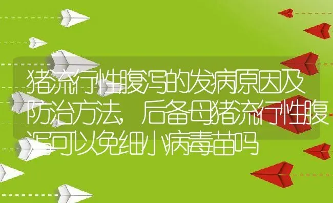 猪流行性腹泻的发病原因及防治方法,后备母猪流行性腹泻可以免细小病毒苗吗 | 养殖常见问题