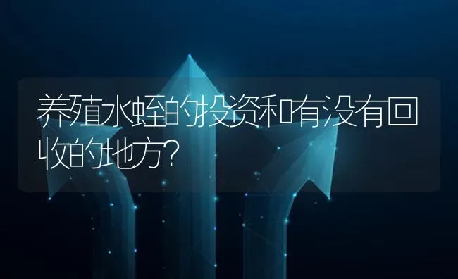 养殖水蛭的投资和有没有回收的地方? | 养殖问题解答