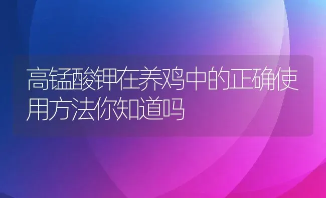 高锰酸钾在养鸡中的正确使用方法你知道吗 | 养殖常见问题