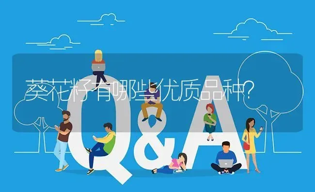 葵花籽有哪些优质品种? | 养殖问题解答