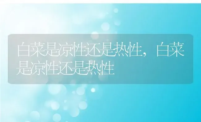 白菜是凉性还是热性,白菜是凉性还是热性 | 养殖常见问题