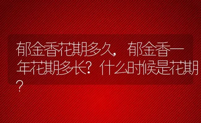 郁金香花期多久,郁金香一年花期多长?什么时候是花期？ | 养殖常见问题