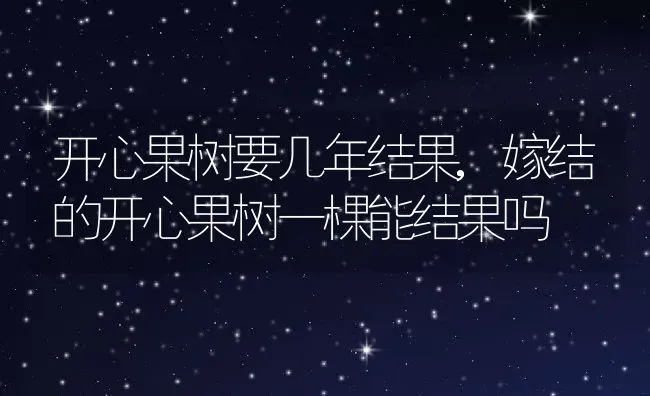 开心果树要几年结果,嫁结的开心果树一棵能结果吗 | 养殖常见问题