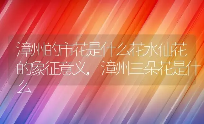 芝麻叶长什么样子鲜芝麻叶怎么处理,芝麻叶要泡多久？ | 养殖常见问题