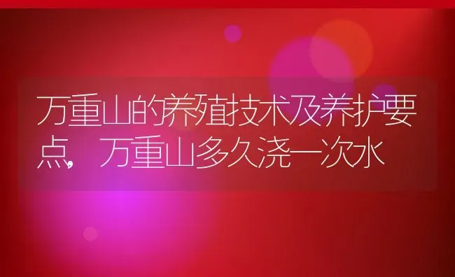 万重山的养殖技术及养护要点,万重山多久浇一次水 | 养殖常见问题