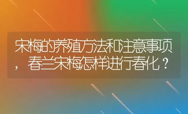 宋梅的养殖方法和注意事项,春兰宋梅怎样进行春化？ | 养殖常见问题