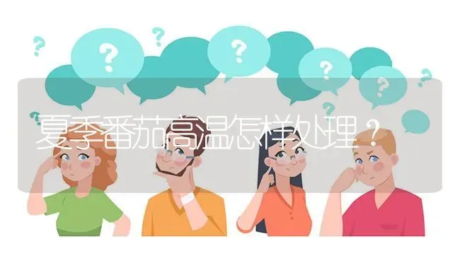 夏季番茄高温怎样处理? | 养殖问题解答