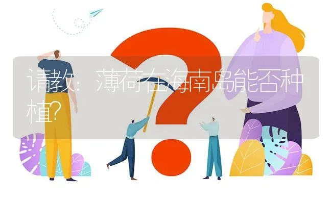 请教：薄荷在海南岛能否种植? | 养殖问题解答