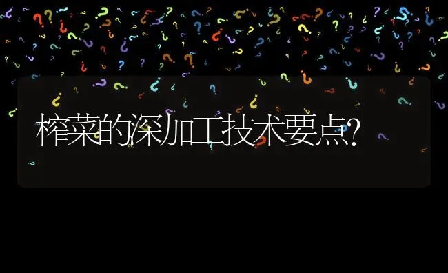 榨菜的深加工技术要点? | 养殖问题解答