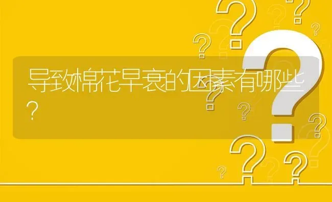 导致棉花早衰的因素有哪些? | 养殖问题解答