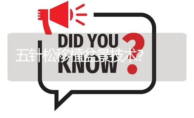 五针松移植盆景技术? | 养殖问题解答