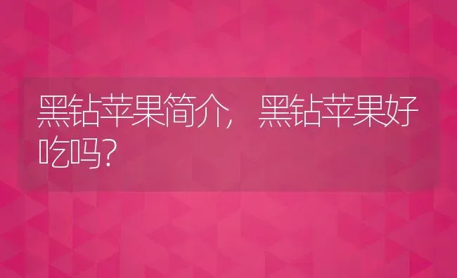 黑钻苹果简介,黑钻苹果好吃吗？ | 养殖常见问题