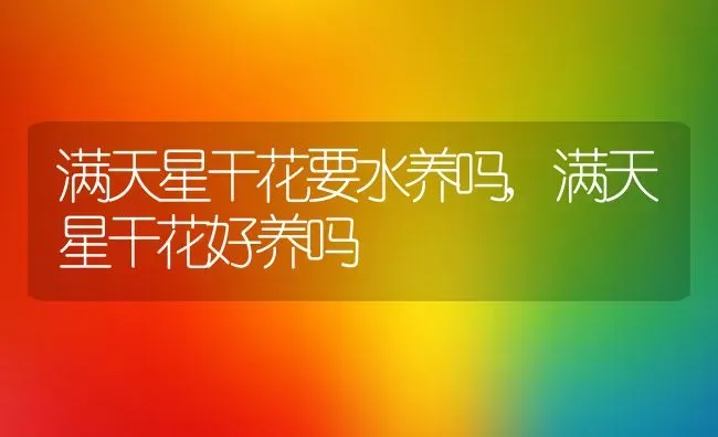 满天星干花要水养吗,满天星干花好养吗 | 养殖常见问题