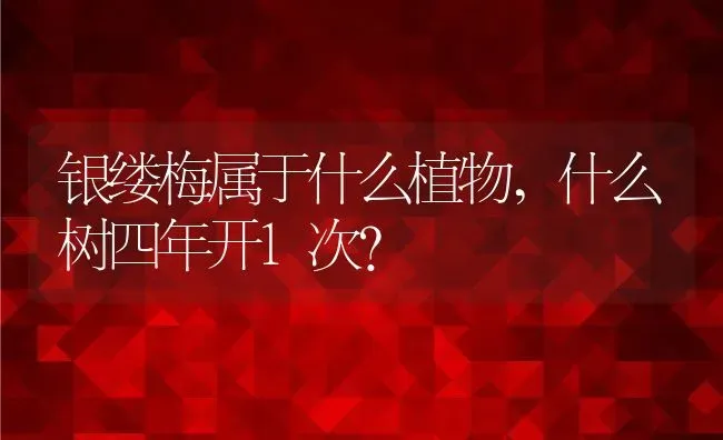 银缕梅属于什么植物,什么树四年开1次？ | 养殖常见问题