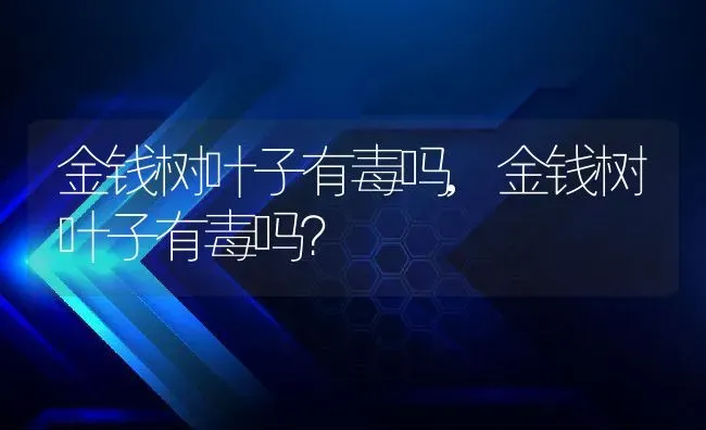 金钱树叶子有毒吗,金钱树叶子有毒吗？ | 养殖常见问题