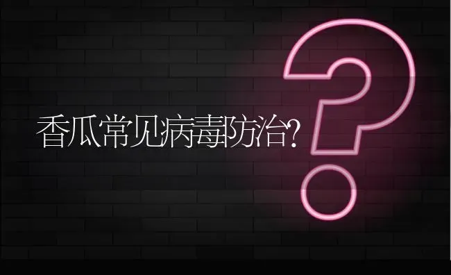 香瓜常见病毒防治? | 养殖问题解答