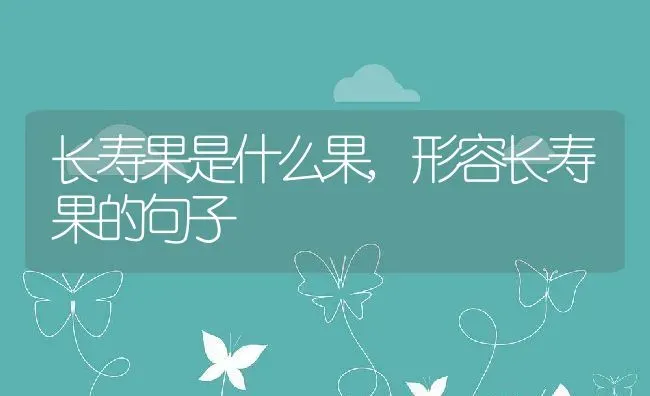 长寿果是什么果,形容长寿果的句子 | 养殖常见问题