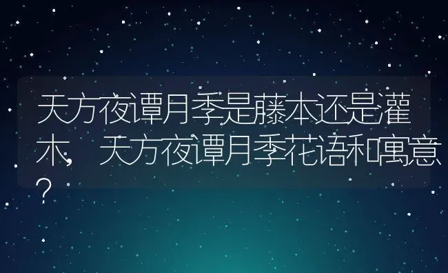 天方夜谭月季是藤本还是灌木,天方夜谭月季花语和寓意？ | 养殖常见问题