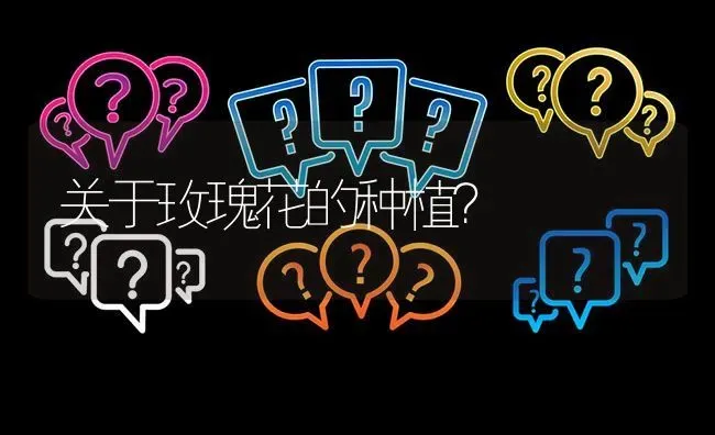 关于玫瑰花的种植? | 养殖问题解答