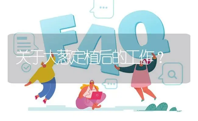 关于大葱定植后的工作? | 养殖问题解答