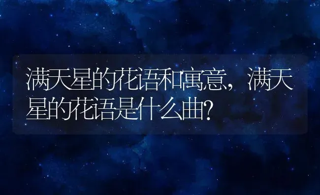 满天星的花语和寓意,满天星的花语是什么曲？ | 养殖常见问题