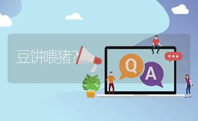 豆饼喂猪? | 养殖问题解答