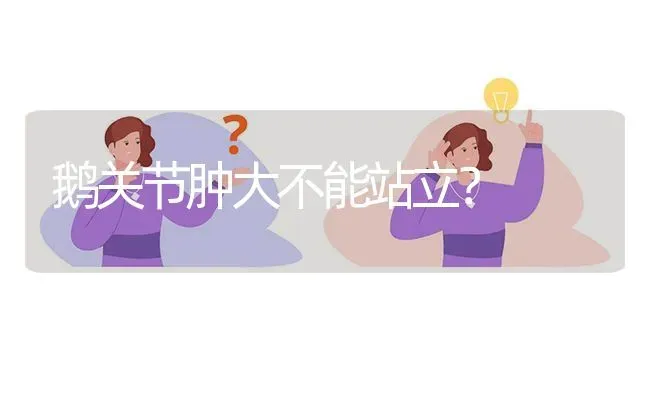 鹅关节肿大不能站立? | 养殖问题解答