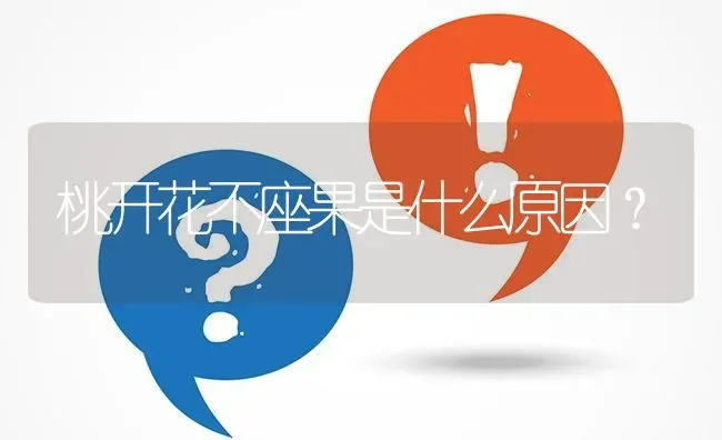 桃开花不座果是什么原因? | 养殖问题解答