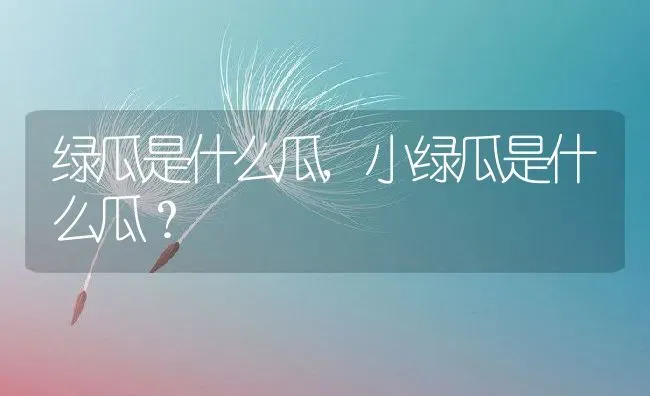 绿瓜是什么瓜,小绿瓜是什么瓜？ | 养殖常见问题