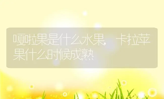 嘎啦果是什么水果,卡拉苹果什么时候成熟 | 养殖常见问题