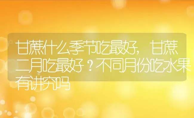 柚子树长什么样,柚子树长什么样 | 养殖常见问题