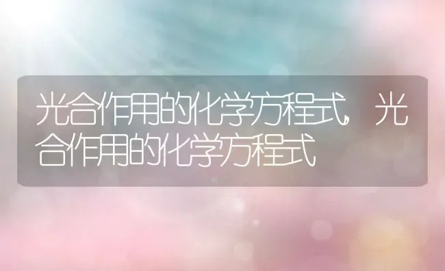光合作用的化学方程式,光合作用的化学方程式 | 养殖常见问题