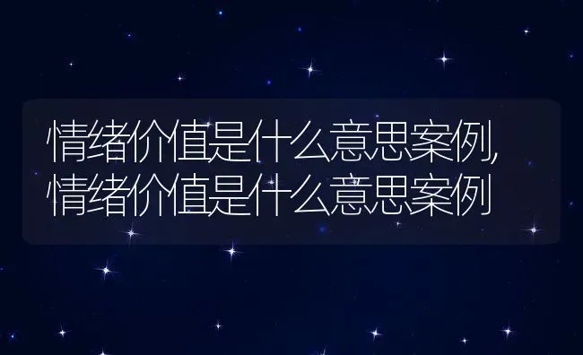 情绪价值是什么意思案例,情绪价值是什么意思案例 | 养殖常见问题