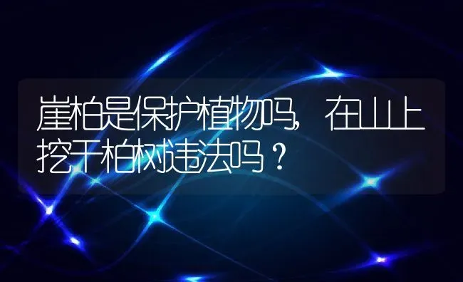 崖柏是保护植物吗,在山上挖干柏树违法吗？ | 养殖常见问题