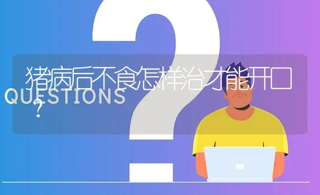 猪病后不食怎样治才能开口? | 养殖问题解答
