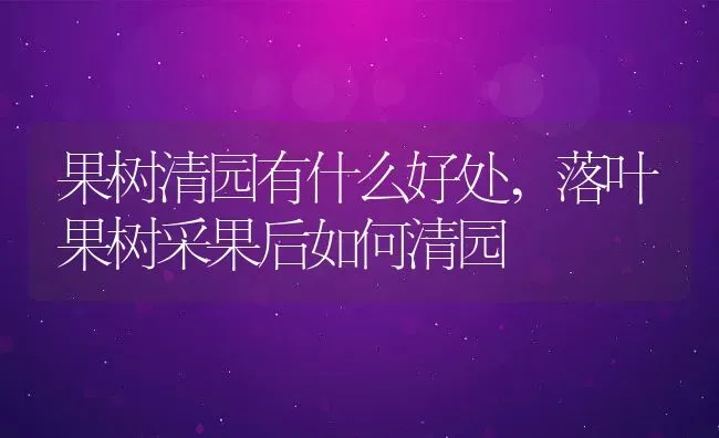 果树清园有什么好处,落叶果树采果后如何清园 | 养殖常见问题