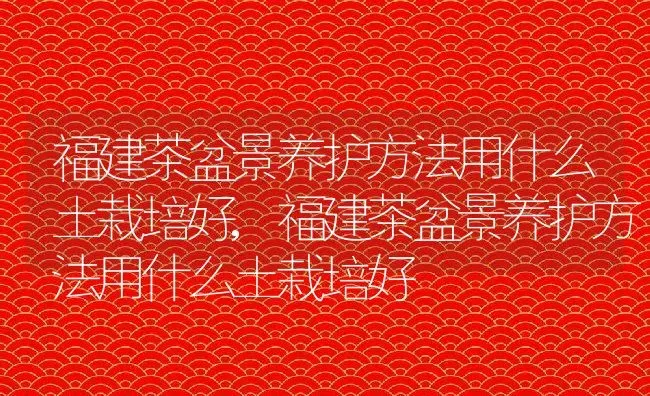 福建茶盆景养护方法用什么土栽培好,福建茶盆景养护方法用什么土栽培好 | 养殖常见问题