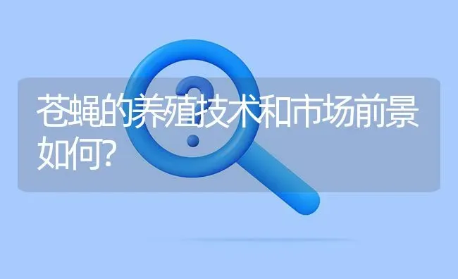 苍蝇的养殖技术和市场前景如何? | 养殖问题解答
