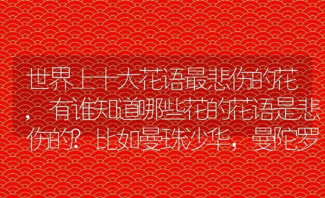 世界上十大花语最悲伤的花,有谁知道哪些花的花语是悲伤的?比如曼珠沙华，曼陀罗什么的？ | 养殖常见问题