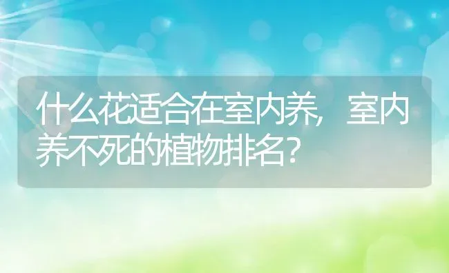 什么花适合在室内养,室内养不死的植物排名？ | 养殖常见问题