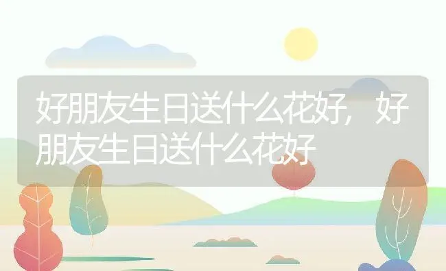 好朋友生日送什么花好,好朋友生日送什么花好 | 养殖常见问题