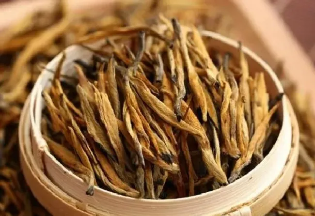 植物常识问题|大金针滇红茶的功效与作用