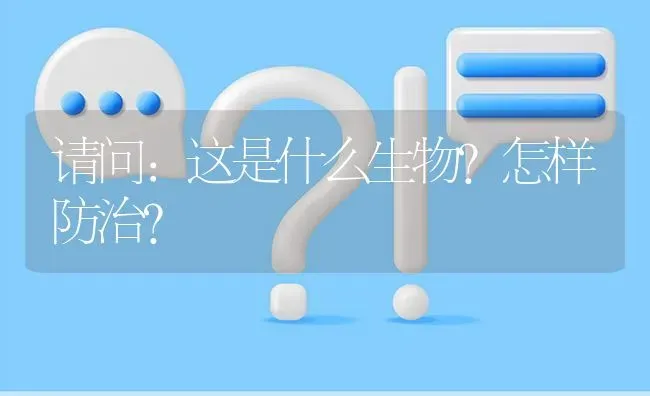 请问：这是什么生物?怎样防治? | 养殖问题解答